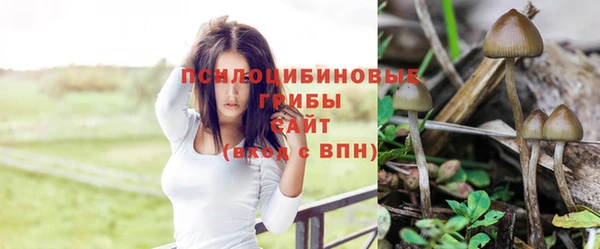 мескалин Галич