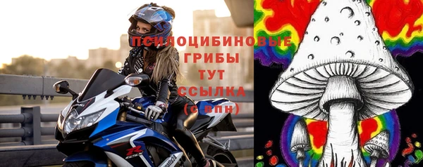 мескалин Галич